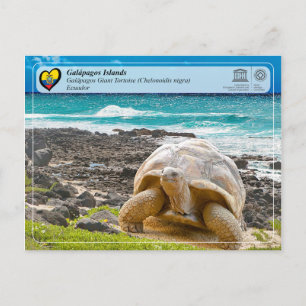 Cartão Postal WHS da UNESCO - Ilhas Galápagos - Tartaruga gigan