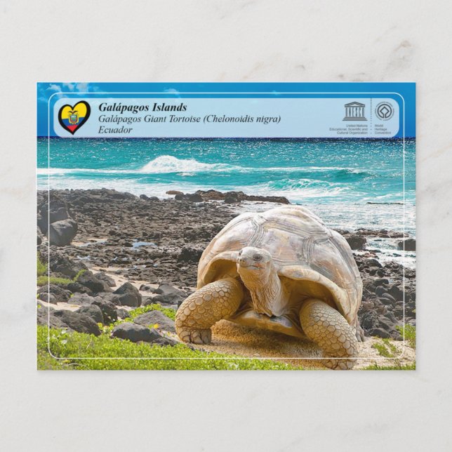 Cartão Postal WHS da UNESCO - Ilhas Galápagos - Tartaruga gigant (Frente)