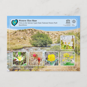 Cartão Postal WHS da UNESCO - Tien-Shan Ocidental - Sairam-Ugam