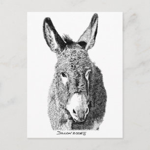 Cartão Postal Wild Burro