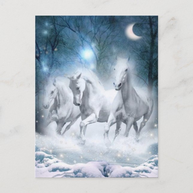 Cartão Postal Wild Flurry (Frente)