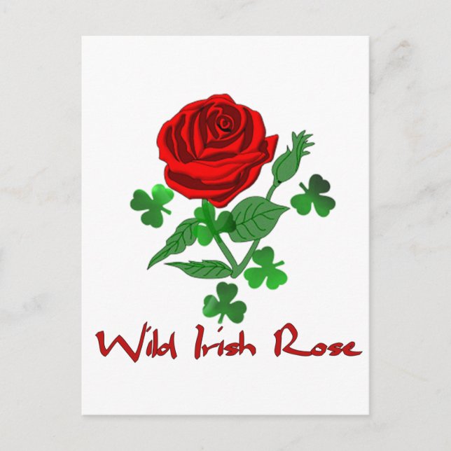 Cartão Postal Wild Irish Rosa (Frente)
