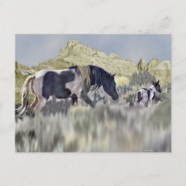 Cartão Postal Wild Mustang Mare e Foal