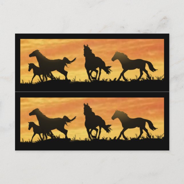 Cartão Postal Wild Mustangs (Frente)