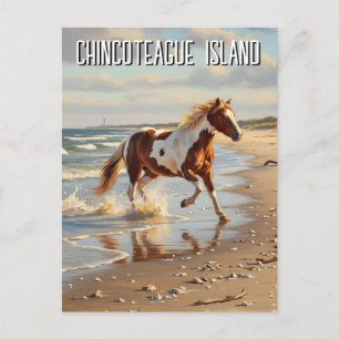Cartão Postal Wild Pony em Chincoteague Island Virginia Viagem