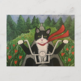 Cartão Postal Wildboy Cavalga Novamente