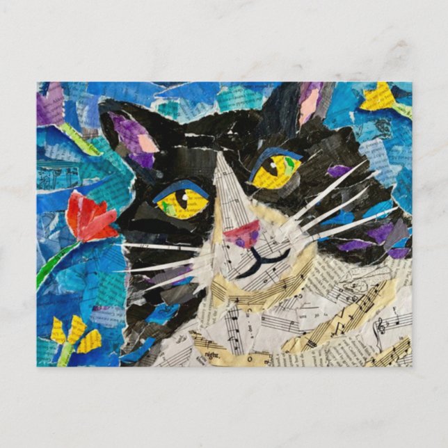 Cartão Postal Wildboy o gato (Frente)