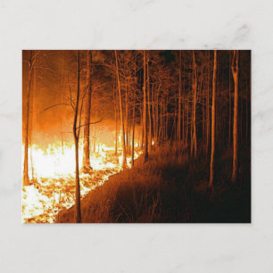 Cartão Postal Wildfire Blaze