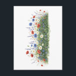 Cartão Postal Wildflower meadow botanical garden flowers<br><div class="desc">Natural wildflower meadow with delicate botanical blossoms. A colorful mix of meadow flowers and daisies creates a lively spring nature scene inspired by blooming fields.</div>