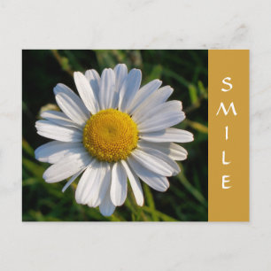 CARTÃO POSTAL WILDFLOWERS