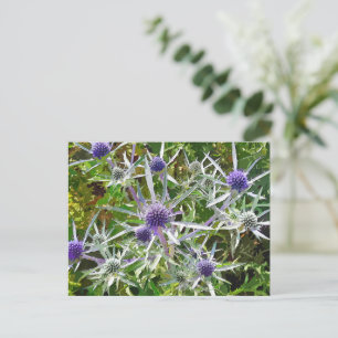 CARTÃO POSTAL WILDFLOWERS