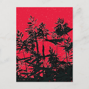 CARTÃO POSTAL WILDFLOWERS