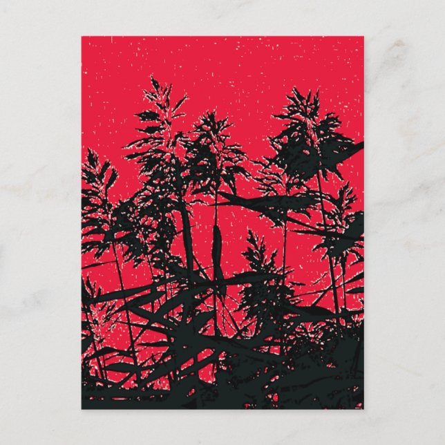 CARTÃO POSTAL WILDFLOWERS (Frente)