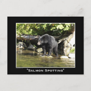 Cartão Postal Wildlife Bears Design