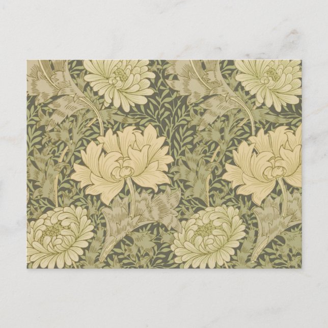 Cartão Postal William Morris Chrysanthemum Sage Flower (Frente)