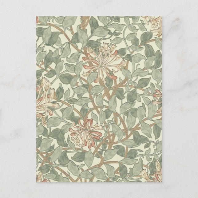 Cartão Postal William Morris Honeysuckle Green Floral (Frente)