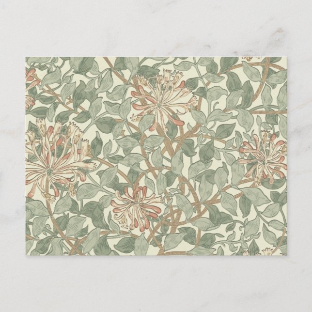 Cartão Postal William Morris Honeysuckle Green Floral (Frente)