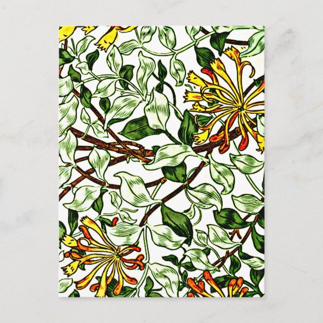 Cartão Postal William Morris - Honeysuckle, verde e amarelo (Frente)