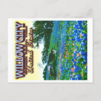 WILLOW CITY TEXAS - WILLOOP - BLUEBONNET