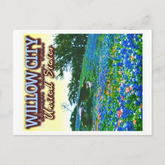 CARTÃO POSTAL WILLOW CITY TEXAS - WILLOOP - BLUEBONNET (Frente)
