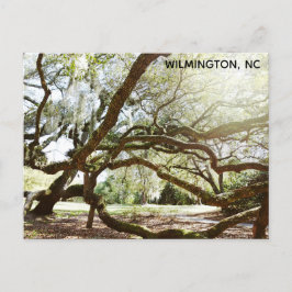 Cartão Postal Wilmington North Carolina Airlie Gardens Live Oak