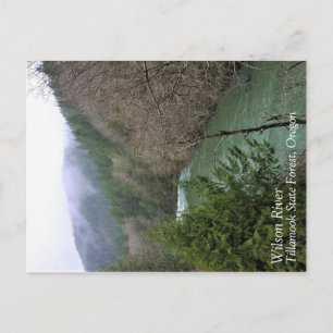 Cartão Postal Wilson River, OR