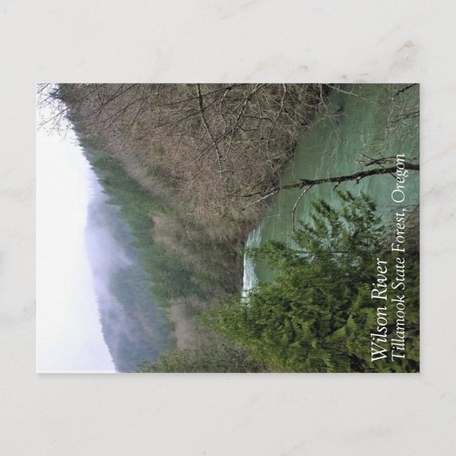 Cartão Postal Wilson River, OR (Frente)