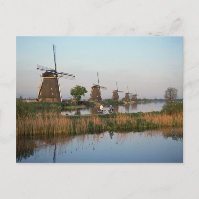 Cartão Postal Windmills, Kinderdijk, Países Baixos (Frente)