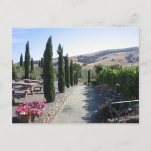 Cartão Postal Wine Country