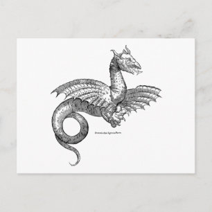 Cartão postal Winged Dragon ou Wyvern