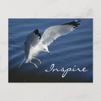 Cartão Postal Wings Over Pensilvânia Posta Card