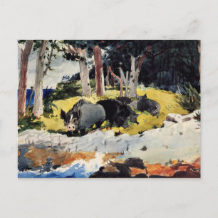 Cartão Postal Winslow Homer - Colonos das Bermudas