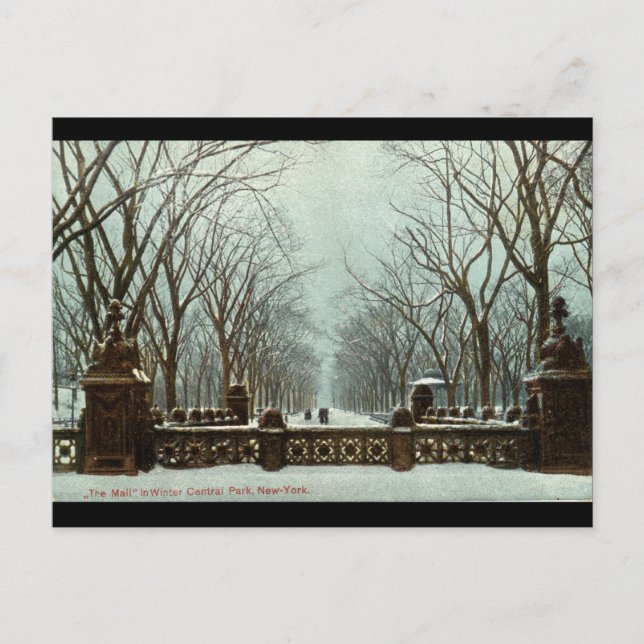 Cartão Postal Winter Central Park NY Vintage c1910 (Frente)