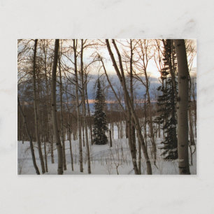 Cartão Postal Winter Evening Postcard