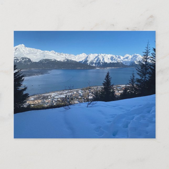 Cartão Postal Winter Hike Overlook Seward (Frente)