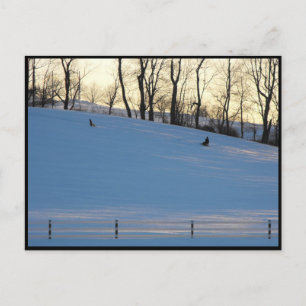 Cartão Postal ~ Winter in Lancaster County ~ 6