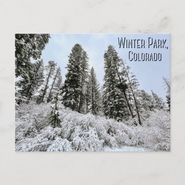 Cartão Postal Winter Park, Colorado Postcard (Frente)