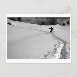 CARTÃO POSTAL WINTER PATH
