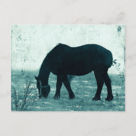 Cartão Postal Winter Percheron