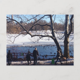 Cartão Postal Winter Snow Central Park Lake Nova Iorque NYC