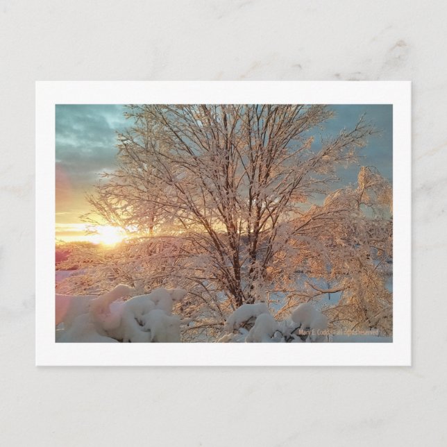 Cartão Postal Winter Sunrise (Frente)
