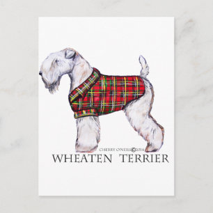 Cartão Postal Winter Wheeder