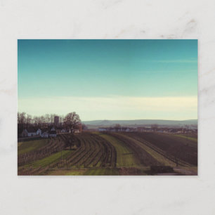 Cartão postal "Winterfrito"