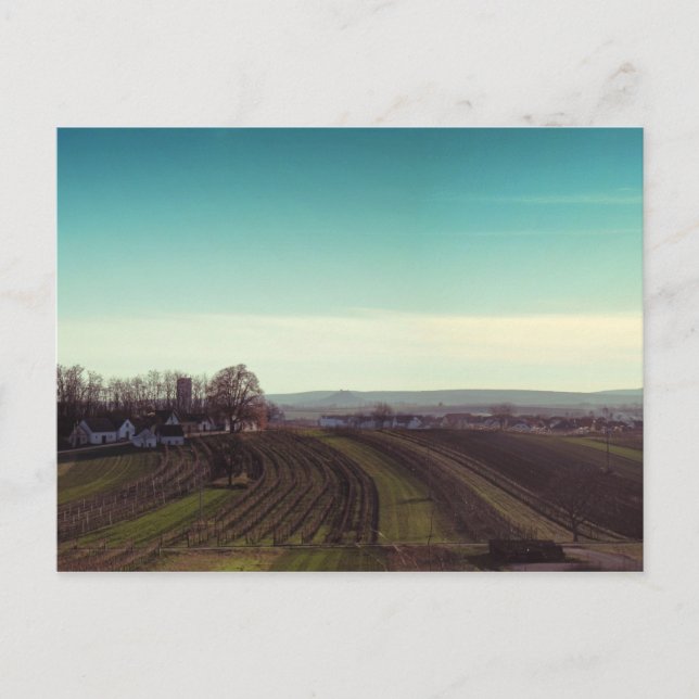 Cartão postal "Winterfrito" (Frente)