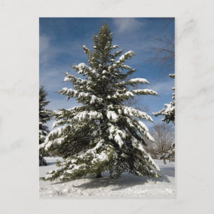 Cartão Postal Winters Breing
