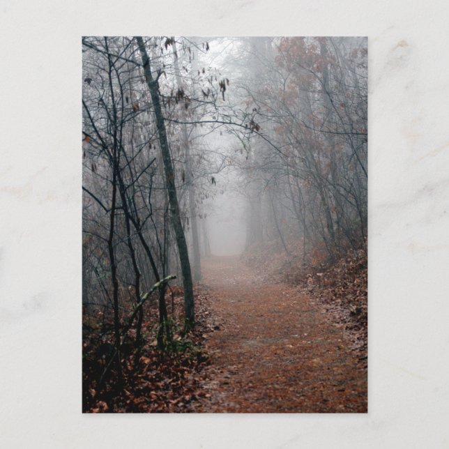 Cartão Postal Winters Fog - Sem Fim na Visão nos Presentes da Tr (Frente)