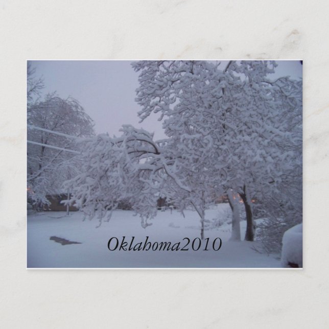 Cartão Postal winterstorm2010 (Oklahoma) (Frente)