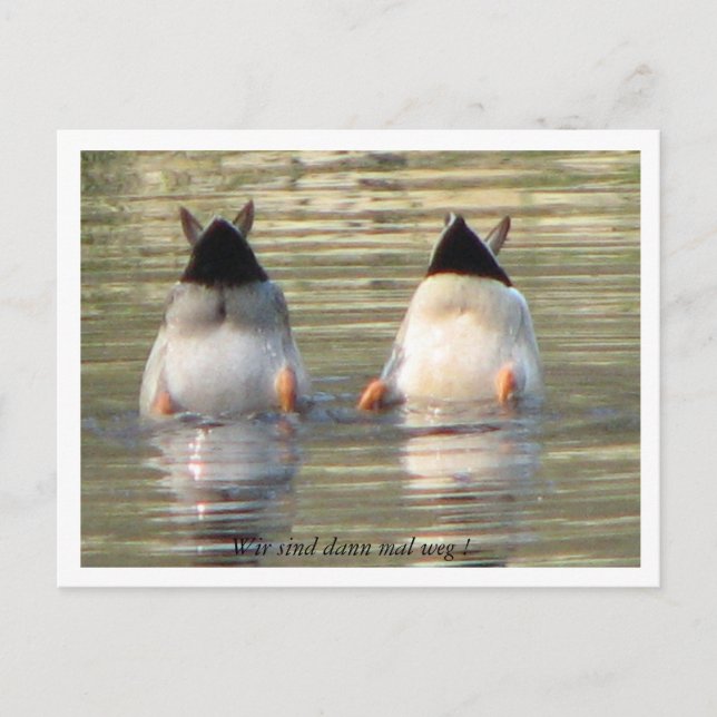 Cartão Postal Wir sind dann mal weg! (Frente)