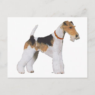 Cartão Postal Wire Fox Terrier
