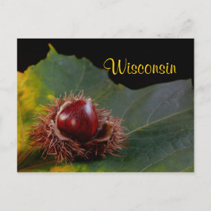 Cartão Postal Wisconsin, Autumn Leaf com Nut Postcard